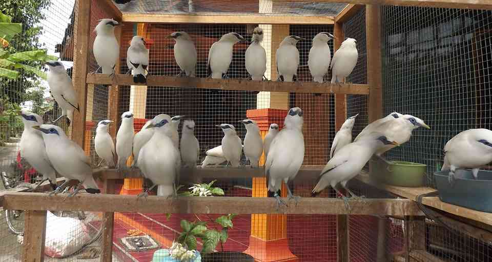 Berbagi Modal dan Lepas dari Gaji Bulanan: Bangun Passive Income Lewat Kemitraan